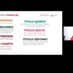Artículo 65 Del Reglamento De La Ley De Protección Industrial En México