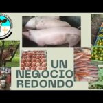 Requisitos Legales Para Crear Una Granja