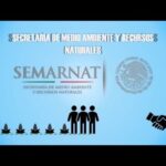 Normas Y Reglamentos De Seguridad E Higiene Y Protección Ambiental En México