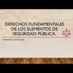 Reglamento De La Ley De Seguridad Nacional En México