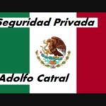 Reglamento De La Ley Federal De Seguridad Privada Vigente En México