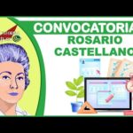 Reglamento De La Biblioteca Publica Rosario Castellanos En México