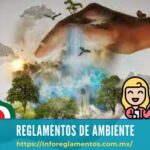 Reglamentos de Ambiente