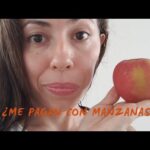 ¿Cuántas horas de clase debe dar un profesor?
