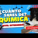 ¿Cuál es el elemento más importante de la educación?