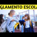 ¿Cuáles son las partes de un reglamento escolar?