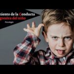 ¿Cómo cambiar la conducta agresiva de un niño?