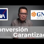 Reglamento Del Seguro De Grupo Y Colectivo En México