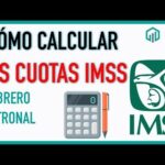 Reglamento Para El Pago De Cuotas Del Seguro Social En México