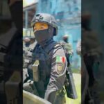 Reglamento Interno De La Secretaria De Seguridad Ciudadana En México