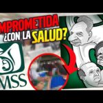 Reglamento Interior Del Instituto Mexicano Del Seguro Social Vigente En México