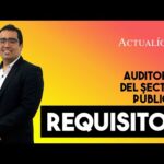 Requisitos Legales Para Hacer Una Auditoria En Una Universidad