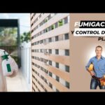 Requisitos Legales Para Negocios De Control De Plagas En Mexicali