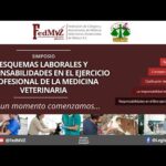 Requisitos A Cumplir Para Un Ejercicio Legal Profesional Veterinaria Sat