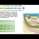 Requisitos Legales Para Un Vivero Forestal En México