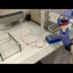 Requisitos Legales Para Hacer Electroforesis
