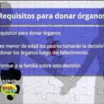 Requisitos Legales Y Médicos Para La Donación De Órganos
