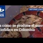 Requisitos Legales Para Crear Sueros Antiofídicos