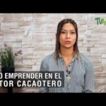 Requisitos Legales Para Crear Una Empresa De Cacao