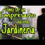 Requisitos Legales Para Servicios De Jardinería En México