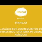 Requisitos Legales Para Granja Avícola Senasa