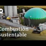 Que Requisitos Legales Deben Cumplirse Para Una Planta De Biogás