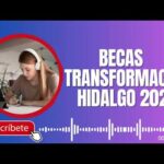 Requisitos Para Cambio De Representante Legal Escuela Particular En Hidalgo