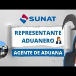 Requisitos Para Ser Representante Aduanal O Representante Legal