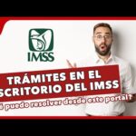 Requisitos Para Cambiar Representante Legal Ante Imss