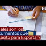 Requisitos Legales Necesarios Para Exportar Los Taxis