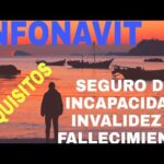 Requisitos Legales Para Condonación De Crédito Infonavit Por Incapacidad