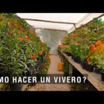 Requisitos Legales Para Un Vivero