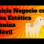 Requisitos Legales Para Una Estética Canina Movil