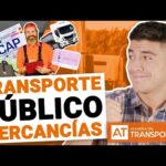 Que Requisitos Legales Se Deben Cumplir Para Servicios De Transporte