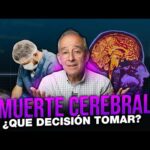Requisitos Legales Para La Muerte Cerebral México