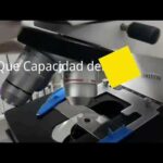 Requisitos Legales Mínimos Para Un Laboratorio De Análisis Clínicos