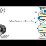 Requisitos Legales Para La Aplicación De Un Gen