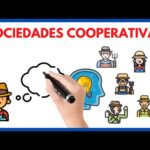 Requisitos Legales Para Una Sociedad Cooperativa