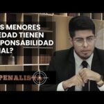 Requisitos Para Decretar Legal La Detención De Un Menor