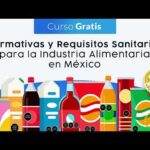 Requisitos Legales Para Una Empresa De Servicios Alimenticios En México