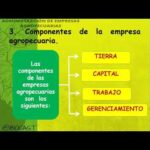 Requisitos Legales Para Formar Una Empresa Agropecuaria