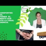 Requisitos Legales Para La Industria Forestal
