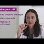 Requisitos Legales Para La Inseminación Artificial