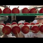 Requisitos Legales Para Catering México