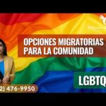 Requisitos Legales Para Las Parejas Homoparentales