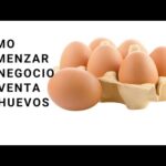 Requisitos Legales Para Negocio De Huevo Orgánico