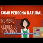 Requisitos Legales Para Iniciación De Actividades Mercantiles