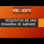 Fundamento Legal De Los Requisitos Para El Juicio De Amparo